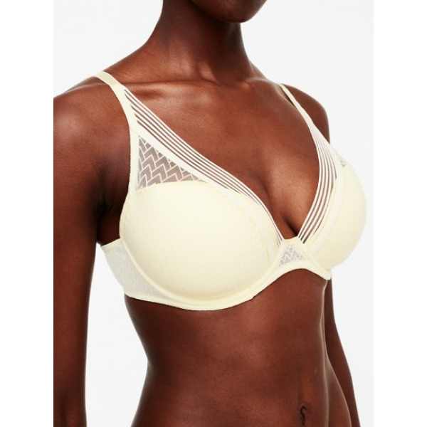 brassiere
