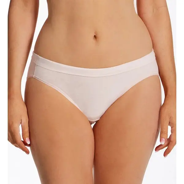 Hanes Panties