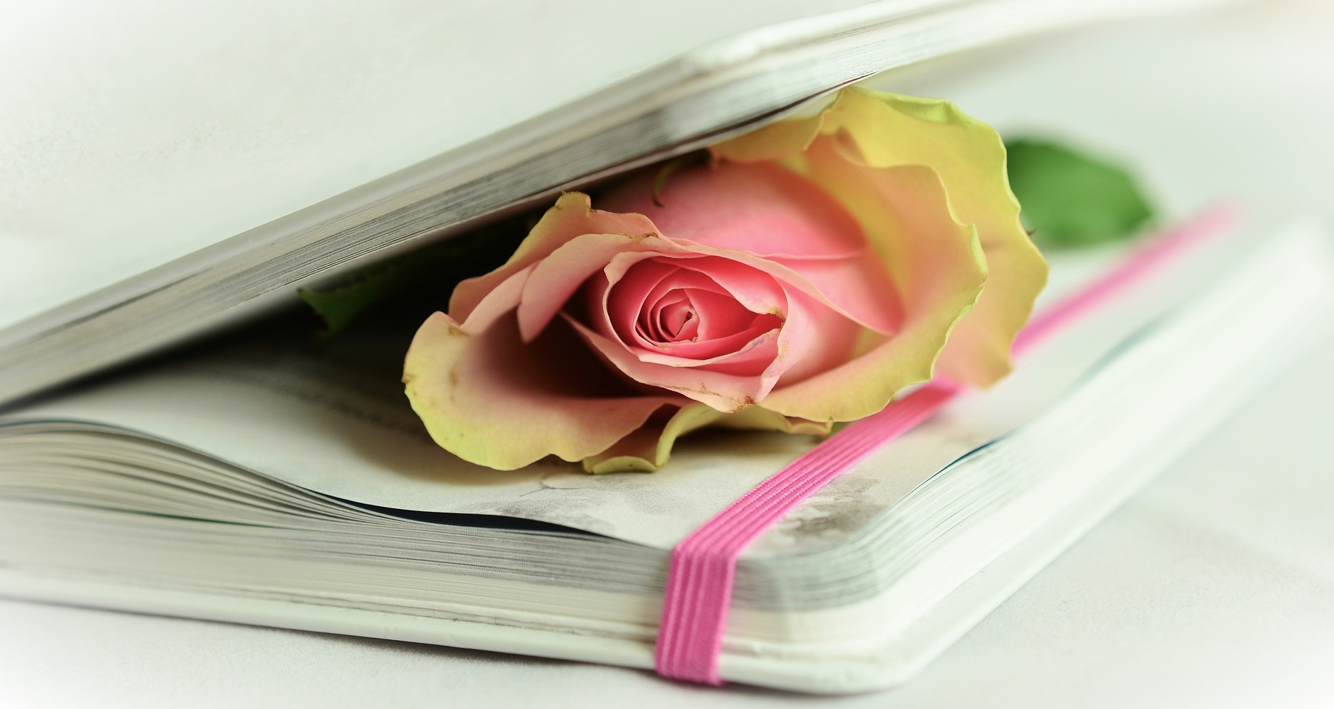 valentine gift