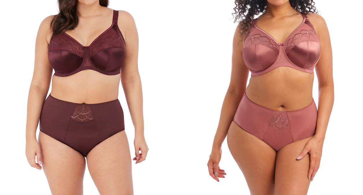 plus size bras