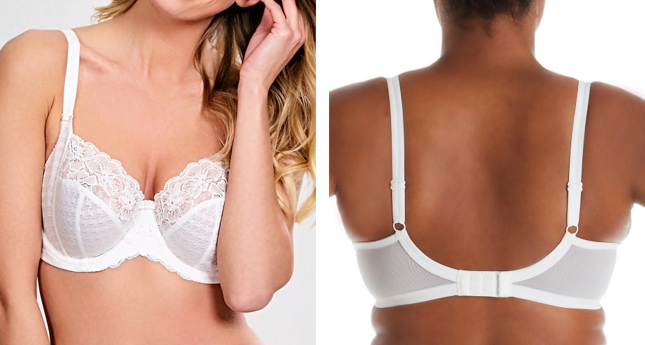 plus size bras